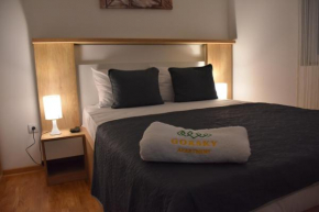 Apartman Gorsky